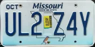 MISSOURI 2019 BLUEBIRD LICENSE PLATE